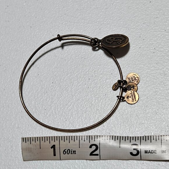 Alex And Ani Brass Charm Bangle Bracelet With Initial B Energy Technology Women - Picture 8 of 8